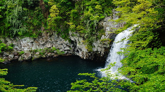 済州天帝淵を滝します。, 済州天帝淵の滝, 天帝淵の滝, 天帝淵