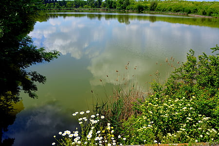 езеро, пейзаж, цветя, гора, вода, отражение, растителност
