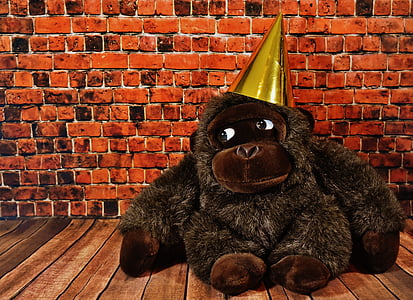compleanno, partito, cappello del partito, scimmia, festeggiare, divertente, scheda di compleanno
