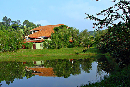 holiday home, resort, greenery, pond, reflection, kadkani, kodagu