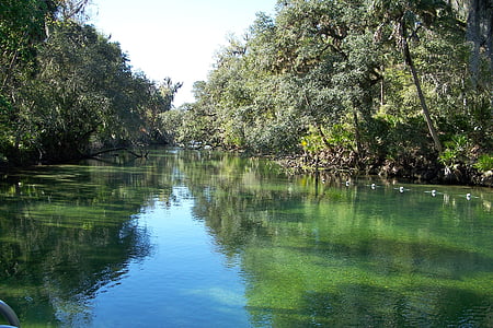Blue springs floden, Florida, floden, naturen, vatten, reflektioner