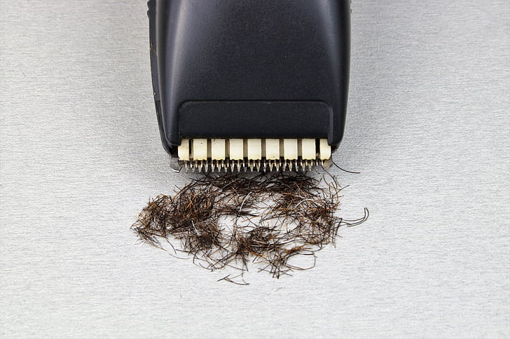 ξυράφι, ο κόφτης long hair, ξυριστική μηχανή, ξύρισμα, ξυρισμένη, φροντίδα, μαλλιά