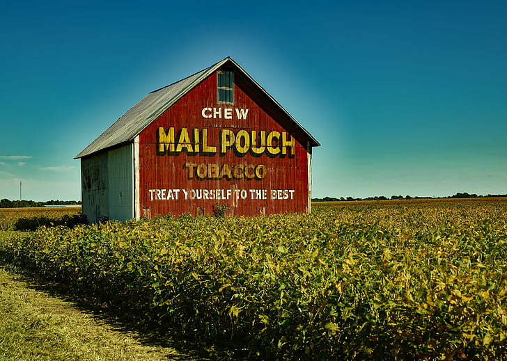 mail pouch tobacco, barn, farm, soybeans, crop, agriculture, landscape