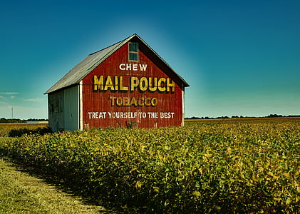 mail pouch tobacco, barn, farm, soybeans, crop, agriculture, landscape