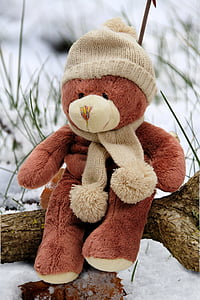 cap, cold, cute, plush toy, scarf, snow, stuffed animal