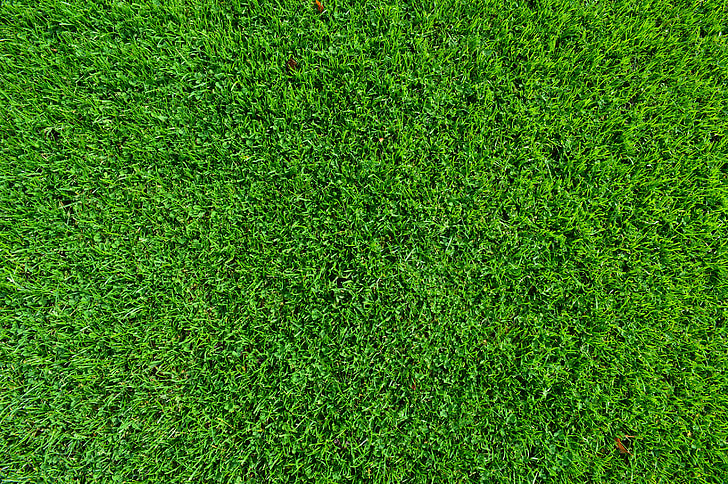 grass, turf, lawn, background, texture, green, lush