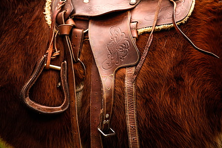 saddle, horse, riding, animal, equestrian, stallion, brown