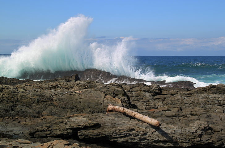 wave, sea, water, bank, coast, stone coast, rock