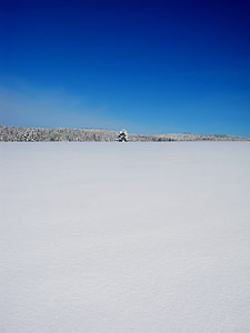 winter, landscape, nature, cloud, snow, tree, winter landscape