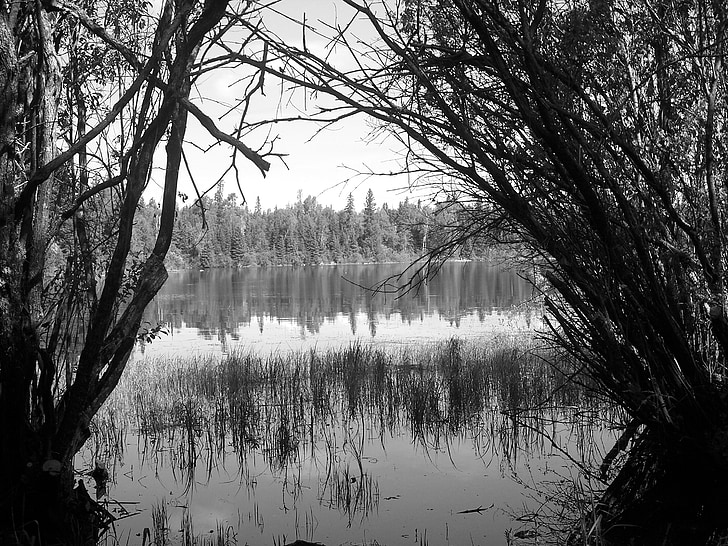 jezero, Scene, Příroda, voda, klidný, venkovní