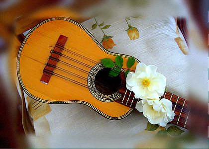 charango, Anda, Gudački instrument, glazba, sklad, glazbenik, instrumenta