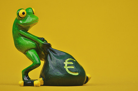 Kurbağa, para, Euro, çanta, para çantası, komik, şirin