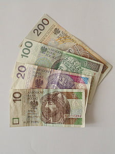 pengesedler, polsk, penge, valuta, Polen