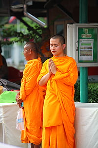 buddhisták, szerzetesek, narancs, fürdőköpeny, ünnepség, egyezmény, találkozó