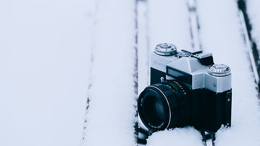 kamery, zimno, obiektyw, makro, SLR, śnieg, zimowe