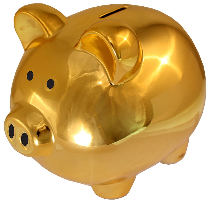 golden-saving sham, save, money, pig, save money, checkout, expenditure