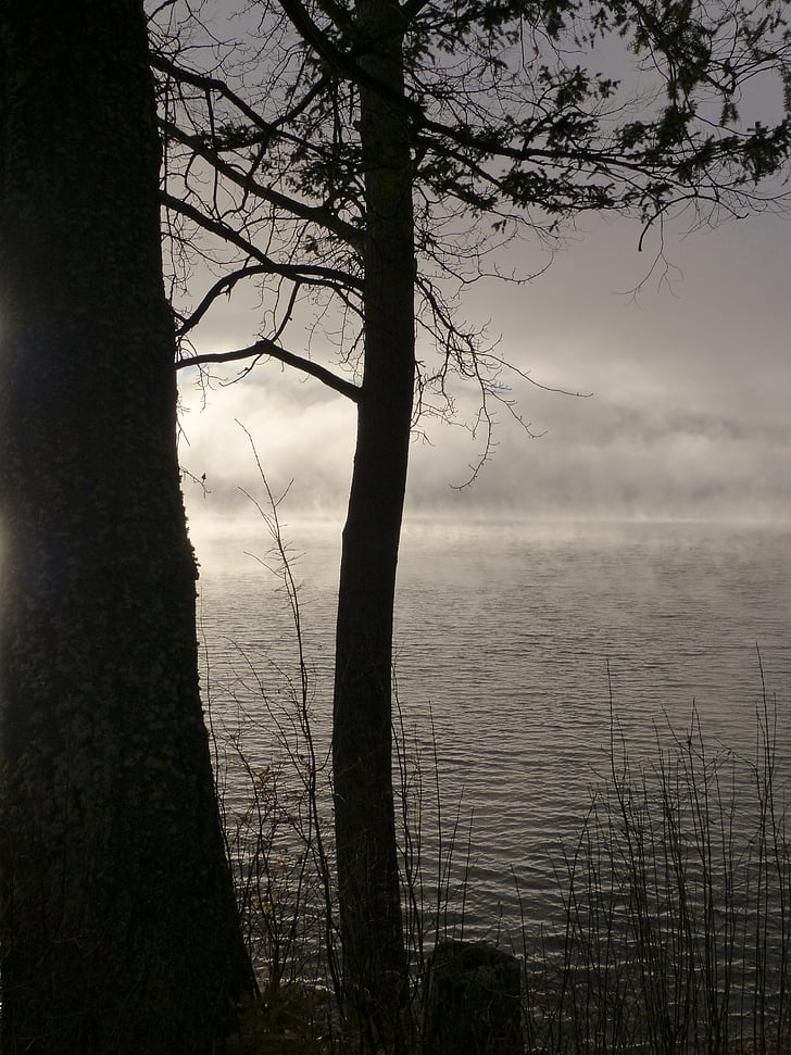 pagi, matahari terbit, awan, Danau canim, British columbia, Kanada, pemandangan