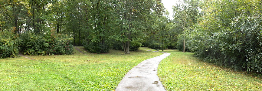 Panorama, parku, cesta, pěšina, chůze, zelená, tráva
