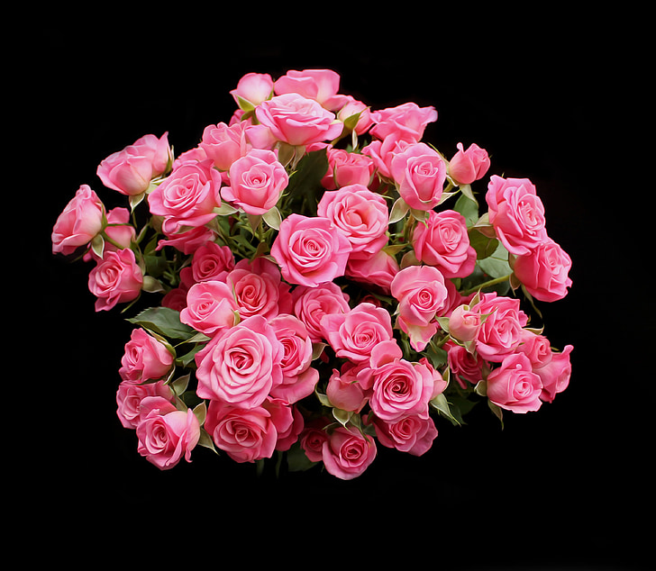 rosas, Rosa sábado, -de-rosa, vermelho, flores, buquê, romance