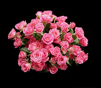 roosid, roosa laupäev, roosa, punane, lilled, kimp, Romantika