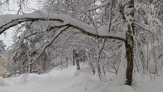 Stockholm, talvel, lumi, Talv, talvistel, lumine