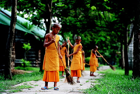 Yeni başlayanlar, Budist, iş, WAT, Phra dhammakaya, Tapınak, dhammakaya pagoda