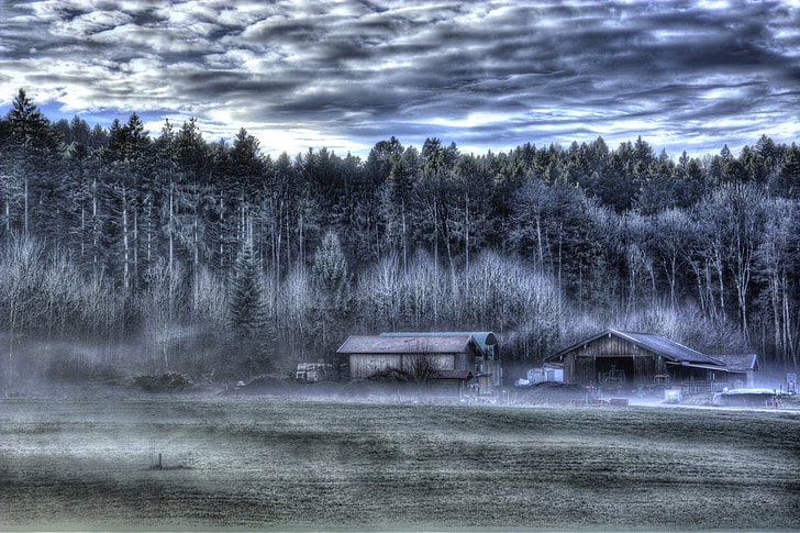 Χειμώνας, ομίχλη, τοπίο, κρύο, Chiemgau, δάσος, δέντρα