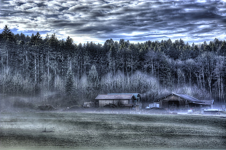 Χειμώνας, ομίχλη, τοπίο, κρύο, Chiemgau, δάσος, δέντρα