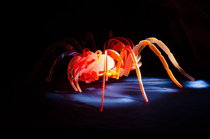 spider, acrylic, light painting