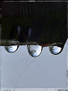 капки дъжд, отражение, макрос, природата, вода, течност, Изчисти
