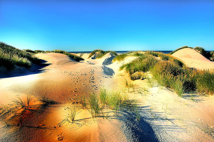 dunes, beach, denmark, sand, north sea, sea, summer