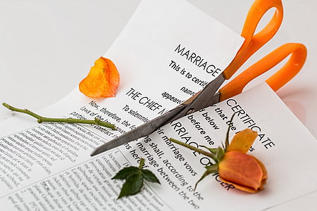 taronja, tisores, negre, imprès, text, certificat, divorci