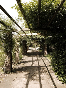 kelio, gauja, augalų tunelis, pėsčiomis, stogelis, šešėlis