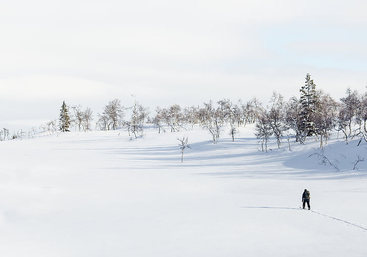 l'hivern, neu, pistes d'esquí, persona, camí, caminada, Senderisme