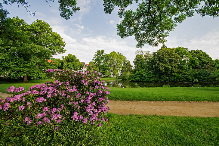 Bay garden, Darmstadt, Hesse, Almanya, Avrupa, Park, Bahçe