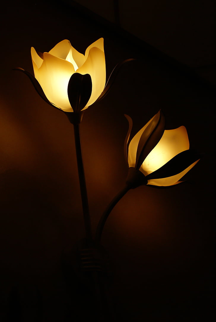 lamp, bloem, licht, lampen, verlichting, donker, muur lamp