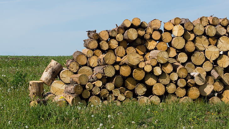 brandhout, boom, geprint, de sawed omlaag, hout, hout - materiaal, logboek