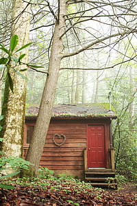 дървен материал, кабина, Любовта гнездо, дървета, гора, Домашно огнище, природата