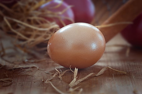 telur, Telur Paskah, warna, berwarna, Paskah, Bea Cukai, produk alami