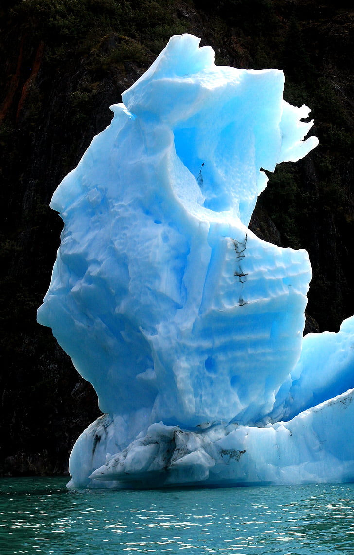 iceberg, bleu, fjord, congelés, flottant, glaciaire, glace