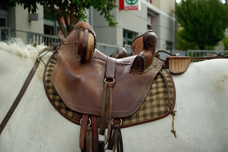 Camargue, häst, sadel, läder