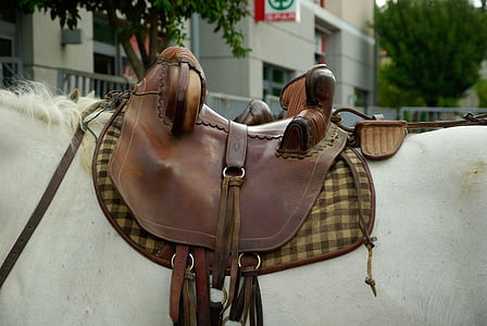 Camargue, cheval, selle, en cuir