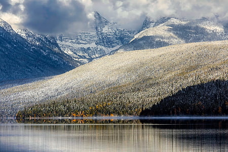 jazero mcdonald, Glacier national park, Montana, Príroda, Forest, stromy, Woods
