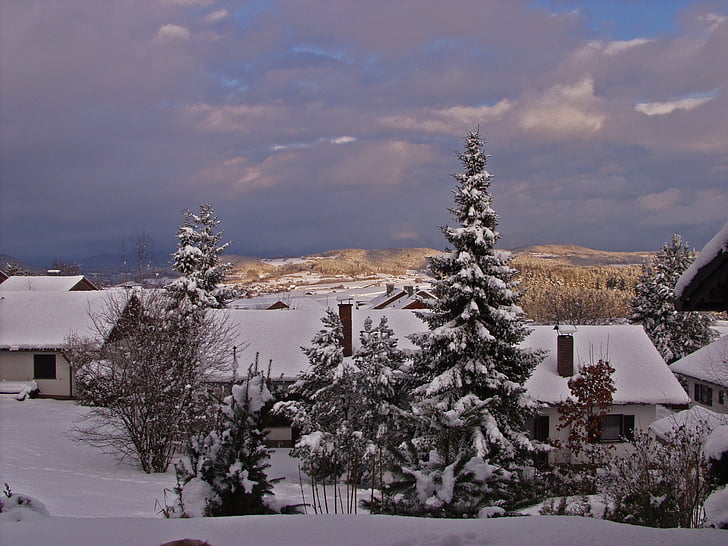 Баварската гора, пейзаж, зимни, Германия, баварски, настроение, сняг