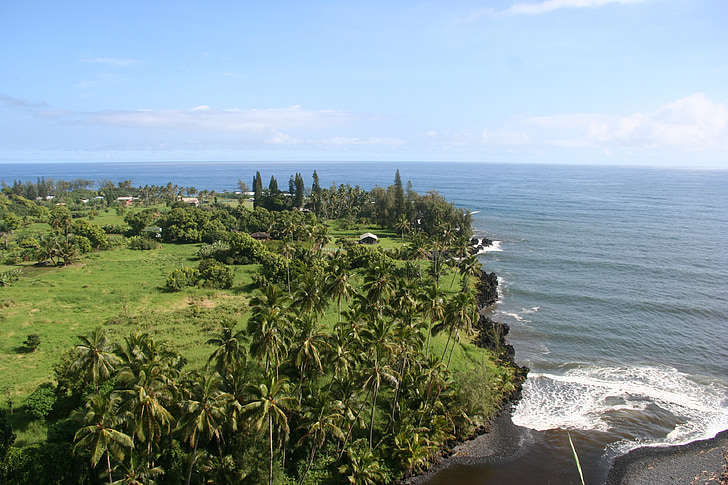 Hawaii, Tropical, utanför, naturen, tropikerna, vågor, grön