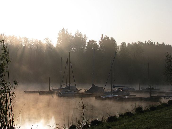 обувка, езеро, сутрин, мъгла, слънце, появата, уеб