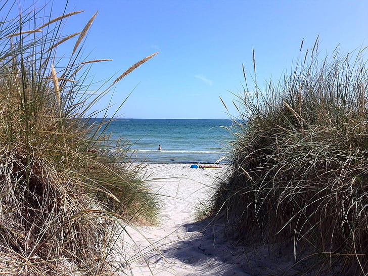 praia, água, céu, Praia dinamarquês, o mar, Praia de areia, à beira-mar