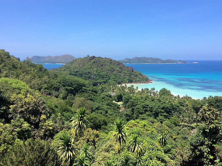 seychelles, indian ocean, palm trees, rock, beach, island, landscape