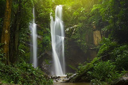 cascata, acqua, foresta, natura, paesaggio, fiume, verde