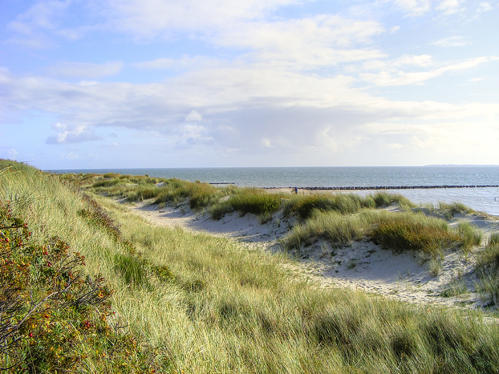 sea, island, dunes, sylt, beach, north sea, nature
